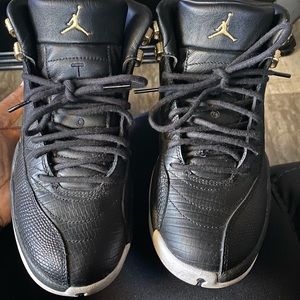 7y Black Reptile Jordan12